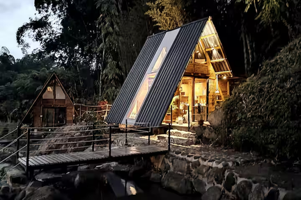 Top 5 Airbnbs